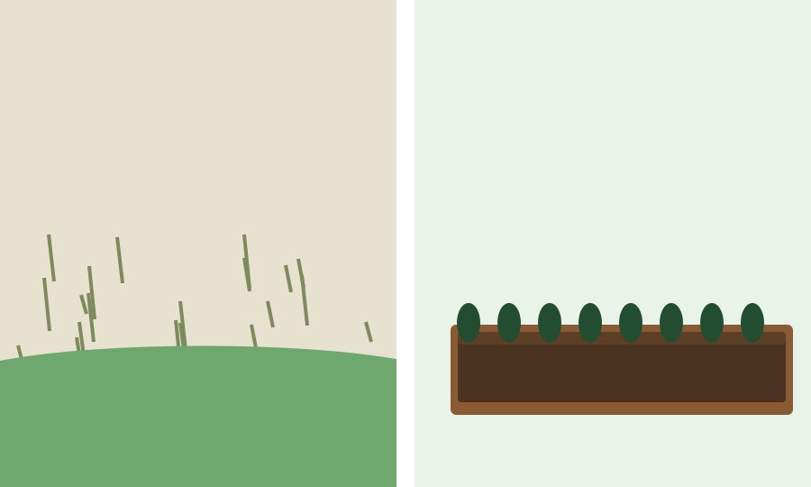 Garden Rescue: How to Apply and What to Expect