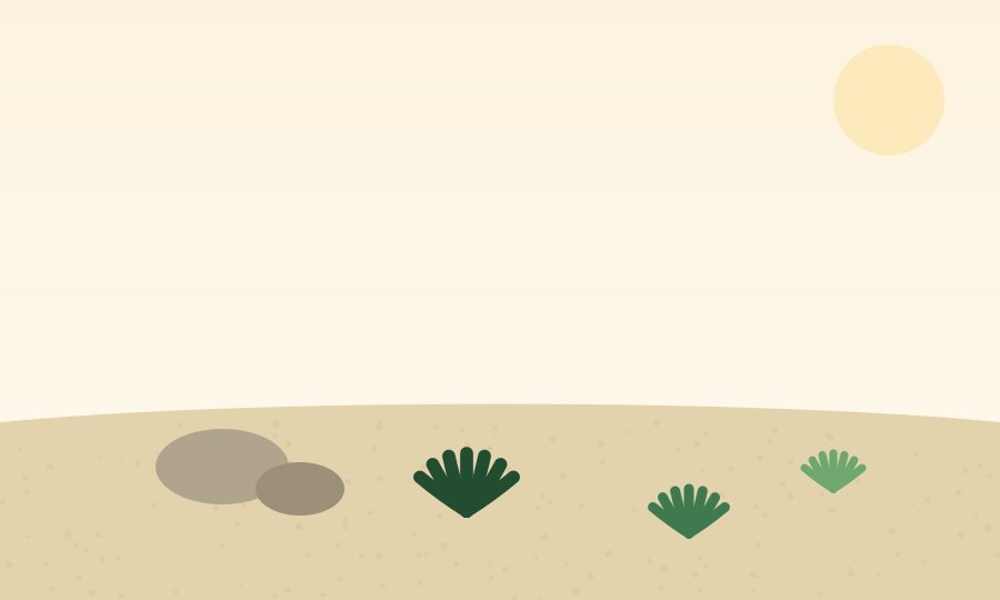 Xeriscape Backyard Ideas That Save Water and Still Look Lush